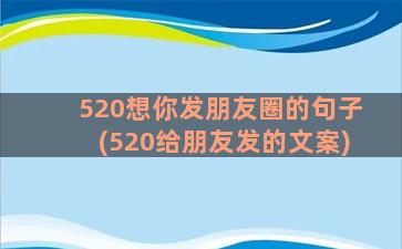 520想你发朋友圈的句子(520给朋友发的文案)