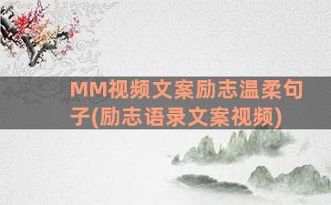 MM视频文案励志温柔句子(励志语录文案视频)