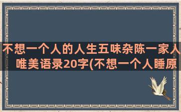 不想一个人的人生五味杂陈一家人唯美语录20字(不想一个人睡原唱)