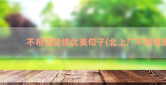 不相信爱情优美句子(北上广不相信爱情)