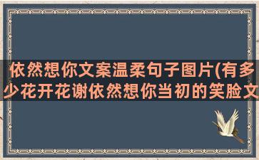 依然想你文案温柔句子图片(有多少花开花谢依然想你当初的笑脸文案)