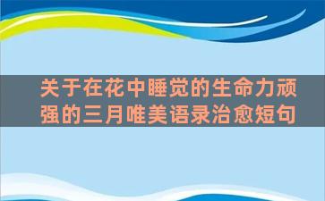 关于在花中睡觉的生命力顽强的三月唯美语录治愈短句