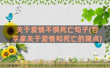 关于爱情不惧死亡句子(哲学家关于爱情和死亡的观点)