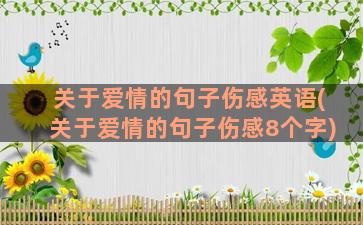 关于爱情的句子伤感英语(关于爱情的句子伤感8个字)