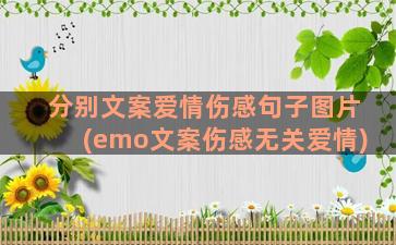 分别文案爱情伤感句子图片(emo文案伤感无关爱情)