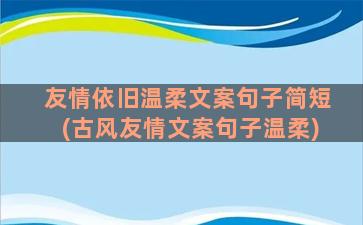 友情依旧温柔文案句子简短(古风友情文案句子温柔)