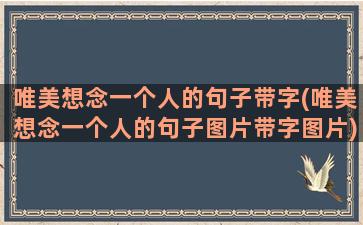 唯美想念一个人的句子带字(唯美想念一个人的句子图片带字图片)