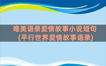 唯美语录爱情故事小说短句(平行世界爱情故事语录)