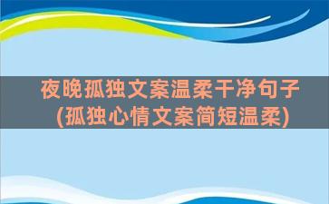 夜晚孤独文案温柔干净句子(孤独心情文案简短温柔)