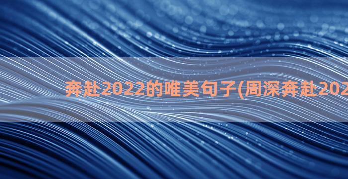 奔赴2022的唯美句子(周深奔赴2022歌词)