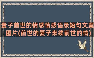 妻子前世的情感情感语录短句文案图片(前世的妻子来续前世的情)