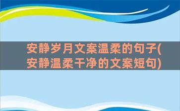 安静岁月文案温柔的句子(安静温柔干净的文案短句)