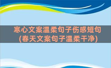 寒心文案温柔句子伤感短句(春天文案句子温柔干净)