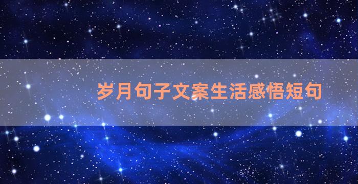 岁月句子文案生活感悟短句