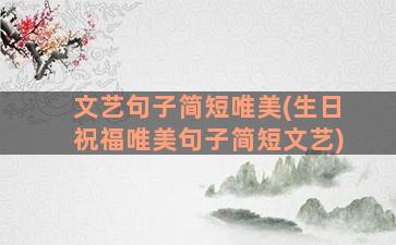 文艺句子简短唯美(生日祝福唯美句子简短文艺)