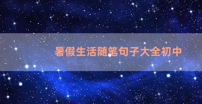 暑假生活随笔句子大全初中