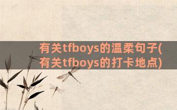 有关tfboys的温柔句子(有关tfboys的打卡地点)