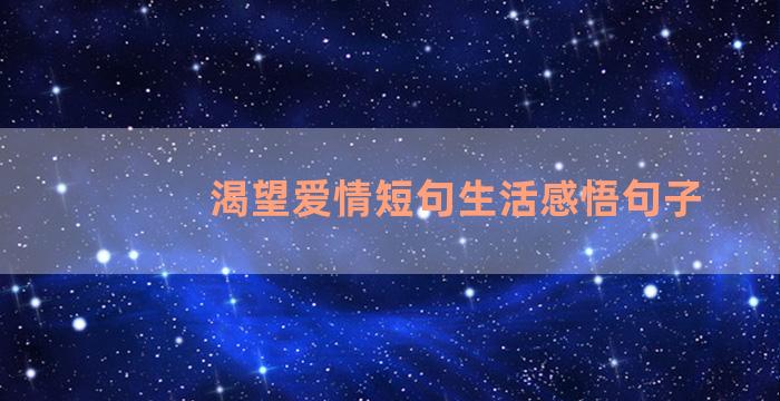 渴望爱情短句生活感悟句子