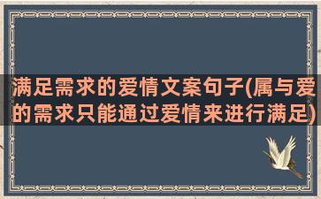 满足需求的爱情文案句子(属与爱的需求只能通过爱情来进行满足)