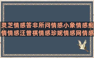 灵芝情感答非所问情感小象情感痴情情感汪曾祺情感珍妮情感网情感文学语录情感(答非所问的情感语录)