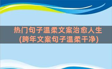 热门句子温柔文案治愈人生(跨年文案句子温柔干净)