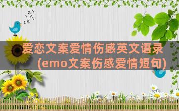 爱恋文案爱情伤感英文语录(emo文案伤感爱情短句)