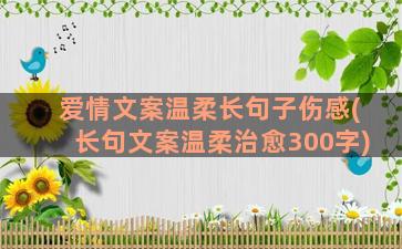 爱情文案温柔长句子伤感(长句文案温柔治愈300字)