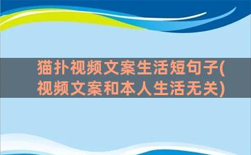 猫扑视频文案生活短句子(视频文案和本人生活无关)