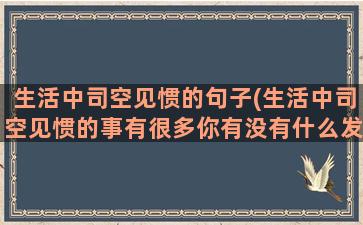 生活中司空见惯的句子(生活中司空见惯的事有很多你有没有什么发现)