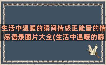 生活中温暖的瞬间情感正能量的情感语录图片大全(生活中温暖的瞬间句子)