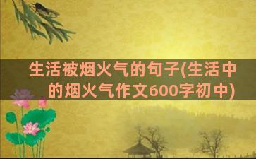 生活被烟火气的句子(生活中的烟火气作文600字初中)