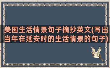 美国生活情景句子摘抄英文(写出当年在延安时的生活情景的句子)