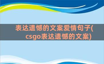 表达遗憾的文案爱情句子(csgo表达遗憾的文案)