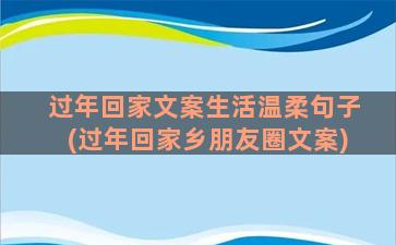 过年回家文案生活温柔句子(过年回家乡朋友圈文案)