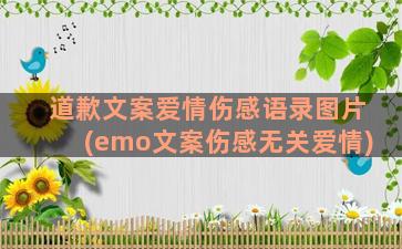 道歉文案爱情伤感语录图片(emo文案伤感无关爱情)