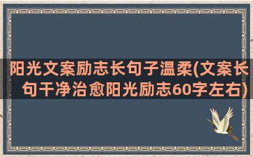 阳光文案励志长句子温柔(文案长句干净治愈阳光励志60字左右)