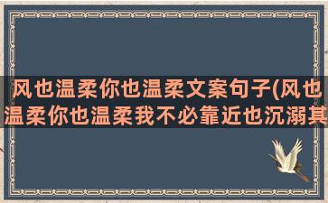 风也温柔你也温柔文案句子(风也温柔你也温柔我不必靠近也沉溺其中)